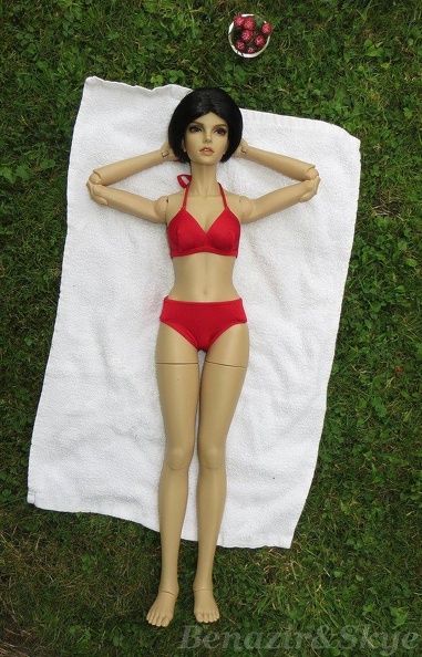 Stella - 11.jpg 11.jpg