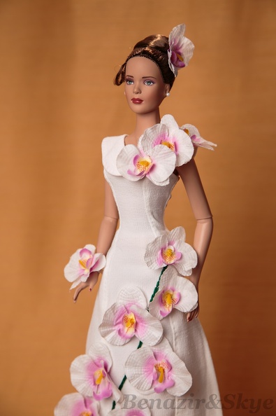 Orchidej - AIMG_0641.jpg AIMG_0641.jpg
